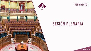 Sesión Plenaria (28/10/2020)