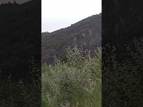 Incendio Epuyen - Chubut  2026