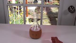 BUSHBERRY MIST ❤️ Nebulizer Essential Oil Diffuser - Review ✅