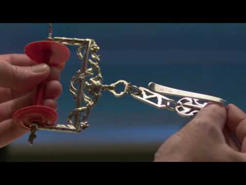 Verborgen verleden. René Froger - za 22 oktober