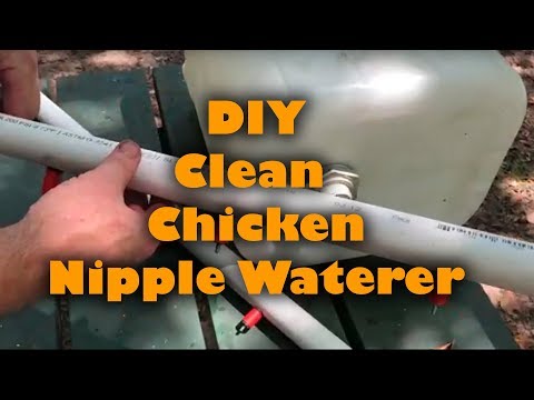 , title : 'DIY Clean Chicken Nipple Waterer'