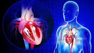 Что Произойдет С Телом Если Перестать Пить Воду?
