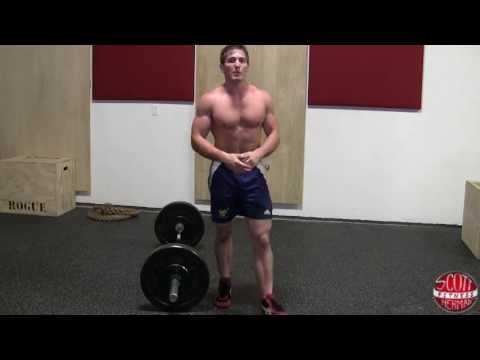 Muscular Strenght Title