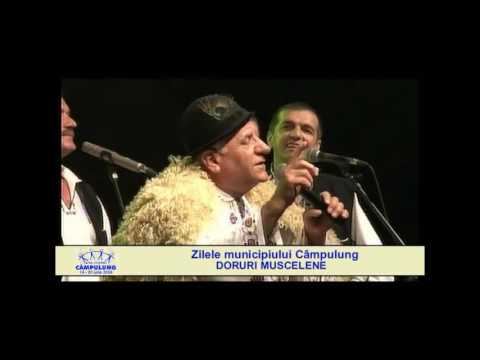 Grupul DORURI MUSCELENE si Gavril PRUNOIU - Foi în prun și foi sub prun (colaj)
