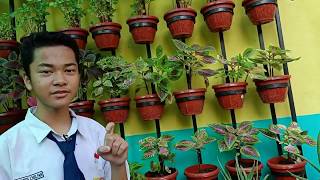 Menyiram Vertikal Garden