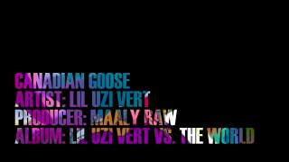 Canadian Goose - Lil Uzi Vert (Lyric Video)