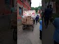 TUCC West Bengal Team Distributed Food Materials To Poor Workers 2
