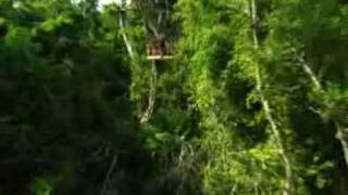 preview picture of video 'Corona Rally Zip Lines Tours Selvatica'