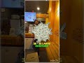 What Do You Think About Belgian Waffle Franchise Watch This Franchise Investing Businessideas
