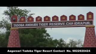 preview picture of video 'Aagarzari tadoba tiger resort'