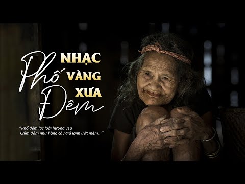 Top 20 Ca Khúc Nhạc Vàng  Được Khán Giả Nghe Nhiều Nhất - Phố Đêm , Đừng Gọi Anh Bằng Chú