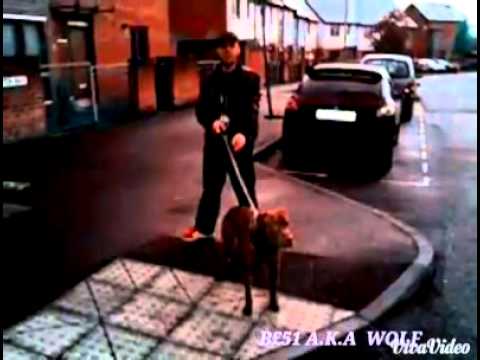 Besi aka wolf - kujtimet