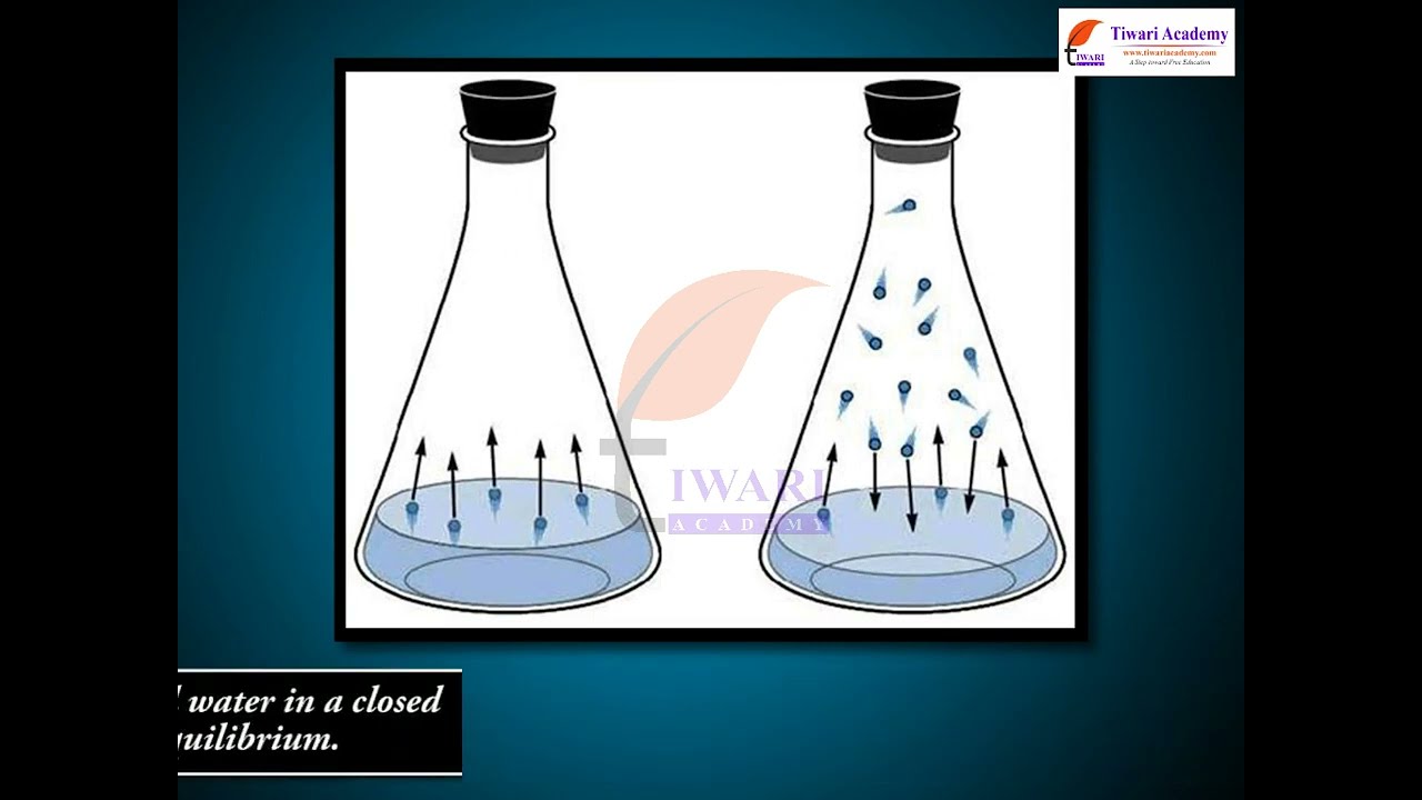 Class 11 Chemistry Heterogeneous Equilibria in Chapter 7 Equilibrium