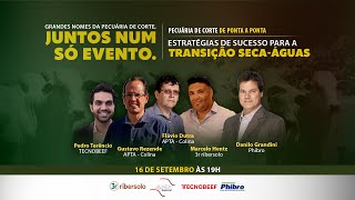 Estratégias de sucesso para a transição seca-águas | Série Pecuária de Corte de Ponta a Ponta
