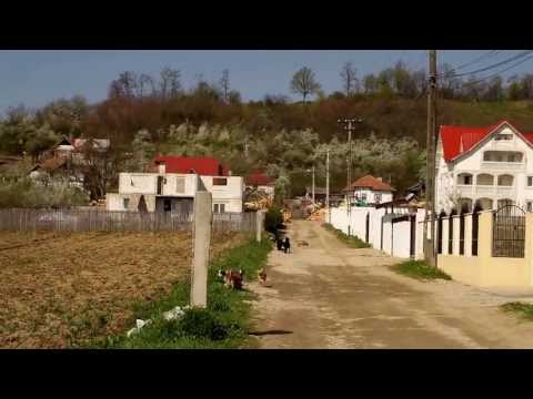 Pe ulita la Purcareni