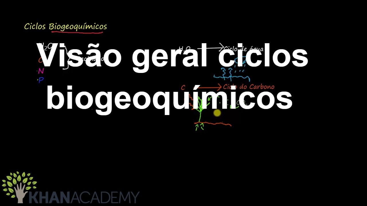 Visão geral ciclos biogeoquímicos | Ecologia | Biologia | Khan Academy