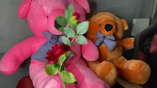 Big Teddy bear collection with gift l ট্রেডি বিয়ার সাথে গিফট