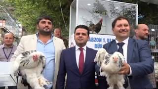 Askeri Ücretin 20 Katına Tavuk ve Horoz