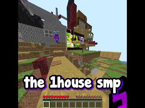 Why I’m neutral on 1House SMP