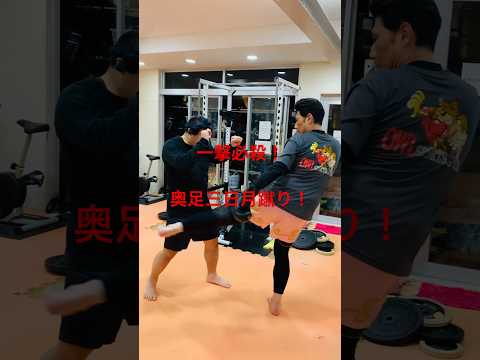 [キックボクシング　トレーニング　格闘技] 一撃必殺！　三日月蹴り！　#キックボクシング #トレーニング #格闘技
