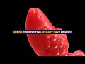 Do Swedish Fish Have Gelatin In Them