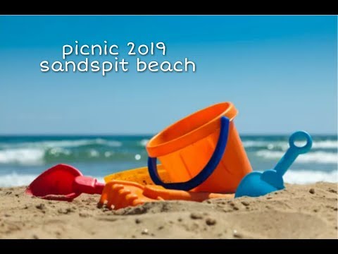 Sandspit Beach Picnic 2k19