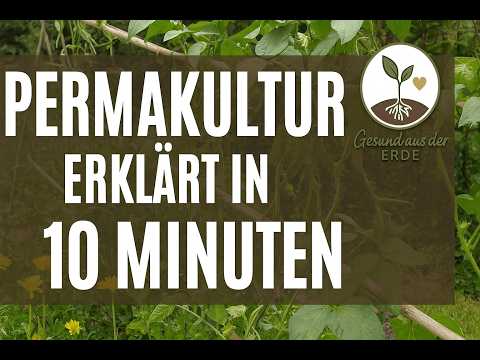 Permakultur Garten für Anfänger – 5 Basics, die du sofort umsetzen kannst