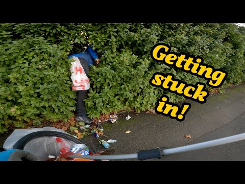 Gerard LOVES a Bush! 🍃 |  Litter picking ep.219