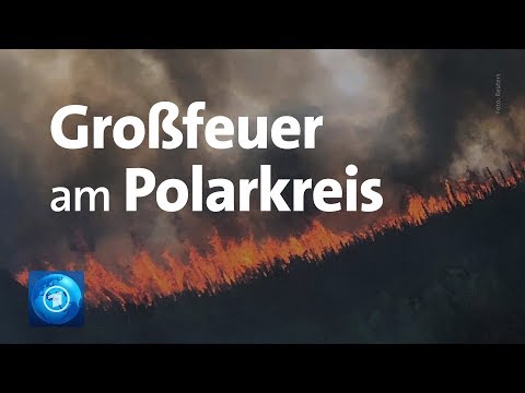 Klimawandel: Waldbrände immer höher im Norden