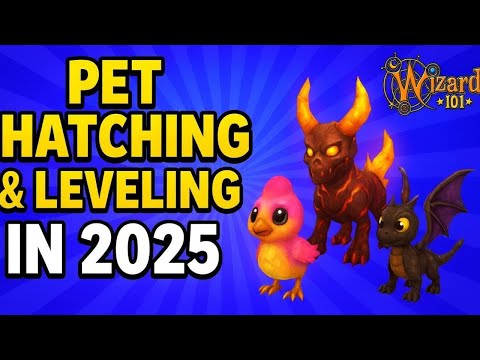 Wizard101: Short Guide to Pet Hatching & Leveling!
