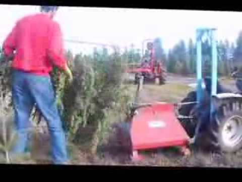 Your New Holiday Tradition