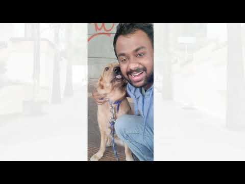 Furritas products and services