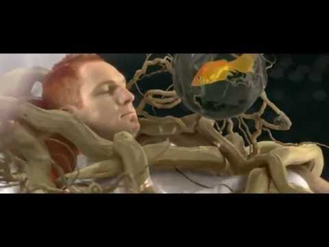 The Parlotones - Stars Fall Down (Official Music Video)
