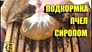 Как приготовить сахарный сироп для прикормки пчел - Видео онлайн