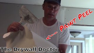 Dealing with Results of Not Priming a Wall/Ceiling Years Later