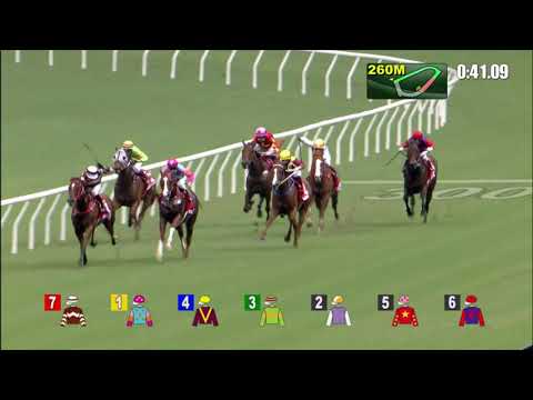 31/10/2021 (132) Sight Success- V Borges