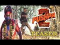 PUSHPA 2: THE RULE (teaser) Spoof || Adarsh  anand | allu arjun | rashmika mandana || dk paliwal ||