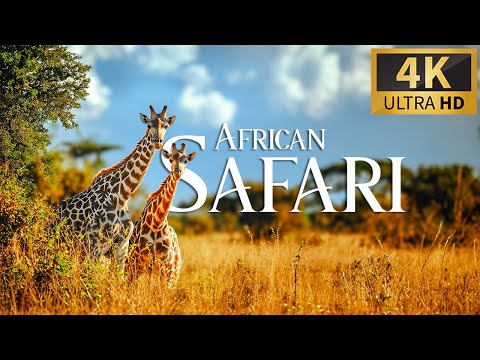 African Safari 4K ???? Discovery Relaxation Wonderful Wildlife Movie with Relax Piano Music