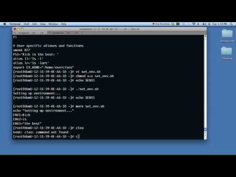 Setting variables with a script and $IFS