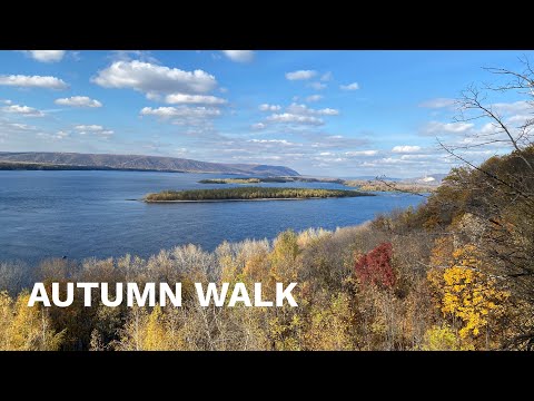 4K Autumn walk forest n river. Samara beautiful nature- golden fall asmr relax spa meditation hd
