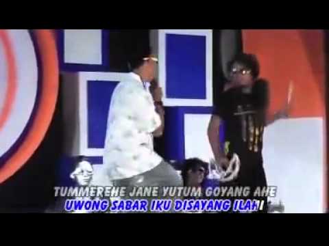 Cenat-Cenut (Arif citenk) Reny music-LAgu. BANYUWANGI