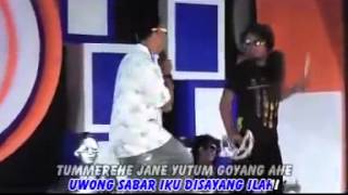 Download lagu Cenat-Cenut (Arif citenk) Reny music-LAgu. BANYUWANGI mp3 Download lagu Cenat-Cenut (Arif citenk) Reny music-LAgu. BANYUWANGI mp3