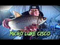 Video Thumbnail for Mid Winter Ice Fishing Cisco/Tullibee with Micro Lure (Fianlly drove on Pasqua Lake again!) 2022