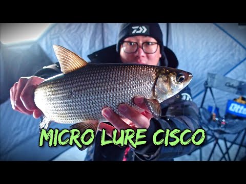 Mid Winter Ice Fishing Cisco/Tullibee with Micro Lure (Fianlly drove on Pasqua Lake again!) 2022