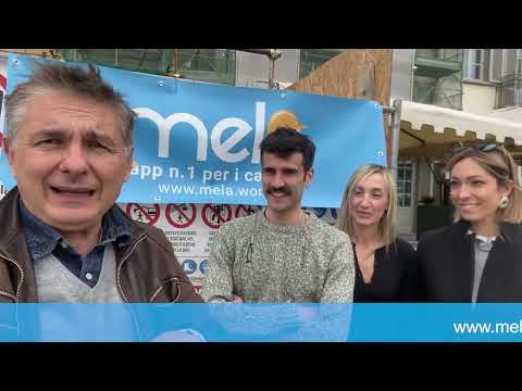 Barzelletta La ragazza perspicace | Paci e Mela, App per cantieri