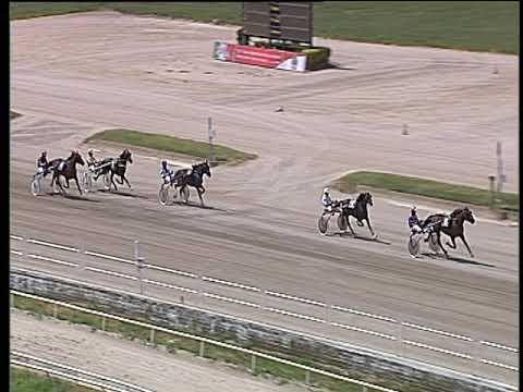 Trotto 15/06/2019 - 1ª prova di qualifica