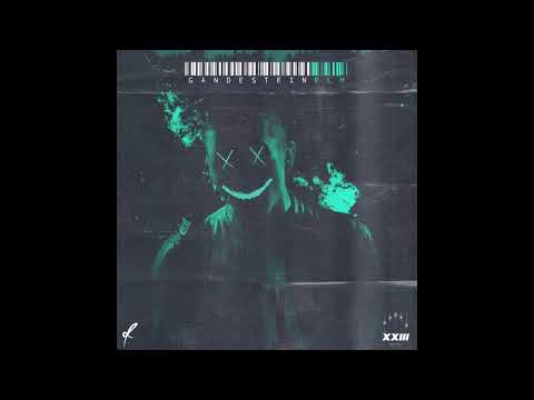 dinoecelmaitare - gandesteinplm