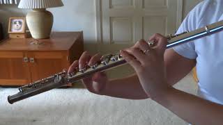 Fighter - 3-gatsu no Lion [flute cover]