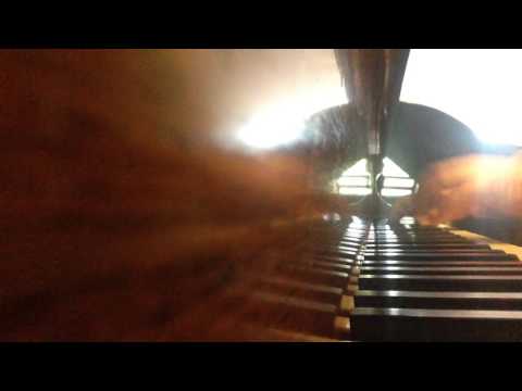 Ballfieber : Polka-Mazurka - H C Lumbye Op.98