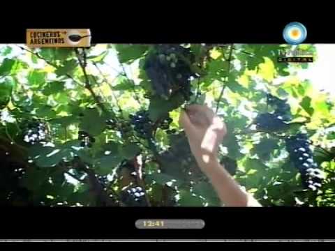 El proceso del vino